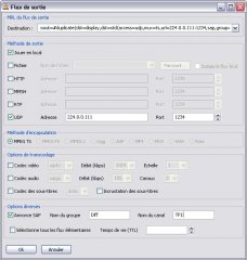 Sélectionner Jouer en local si vous voulez voir le flux sur le serveur.